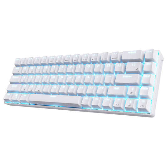 RK68 (RK855) RGB Wireless/Wired 65% Compact Mechanical Keyboard