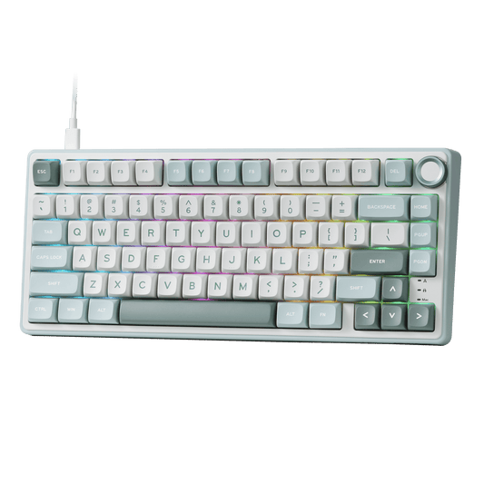RK ROYAL KLUDGE R75 Mechanical Keyboard Wired with Volume Knob, 75% Custom Gaming Keyboard Gasket Mount RGB Backlit with Software, MDA Profile, PBT Keycaps, Hot Swappable Linear Switch Creamy Sound, green