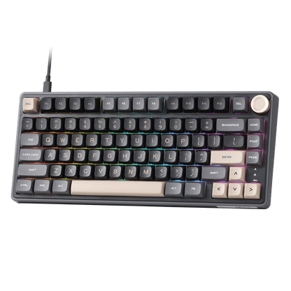 RK ROYAL KLUDGE R75 Mechanical Keyboard Wired with Volume Knob, 75% Custom Gaming Keyboard Gasket Mount RGB Backlit with Software, MDA Profile, PBT Keycaps, Hot Swappable Linear Switch Creamy Sound, black