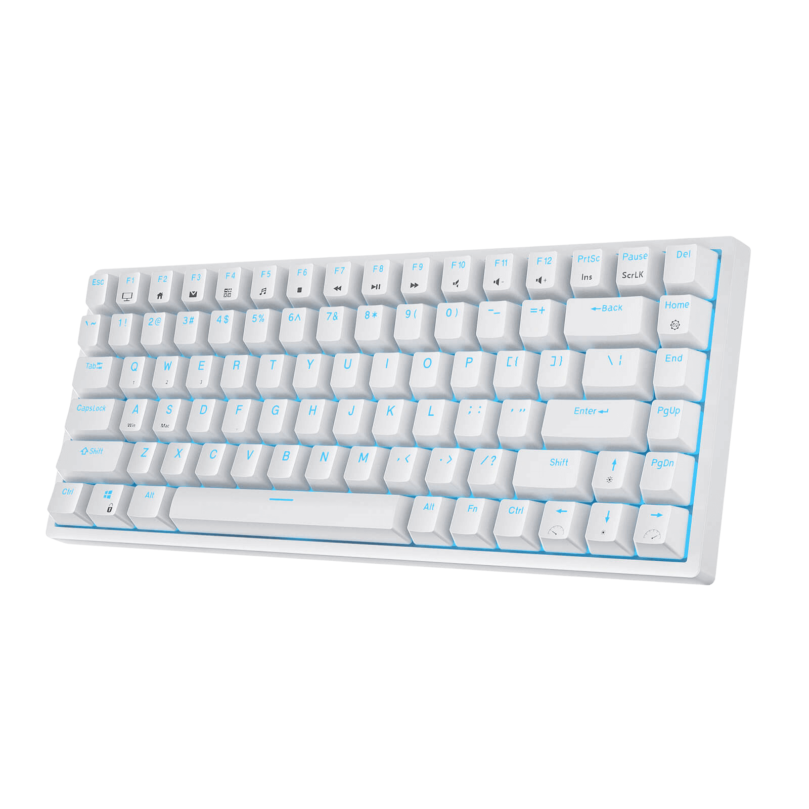 RK ROYAL KLUDGE RK84 Wireless Blue Backlit 75% Triple Mode BT5.0/2.4G/USB-C Hot Swappable Mechanical Keyboard, 84 Keys Tenkeyless Mechanical Keyboard w/Programmable Software, Blue Switch