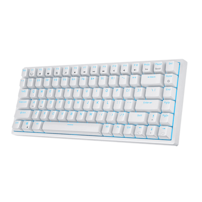 RK ROYAL KLUDGE RK84 Wireless Blue Backlit 75% Triple Mode BT5.0/2.4G/USB-C Hot Swappable Mechanical Keyboard, 84 Keys Tenkeyless Mechanical Keyboard w/Programmable Software, Blue Switch