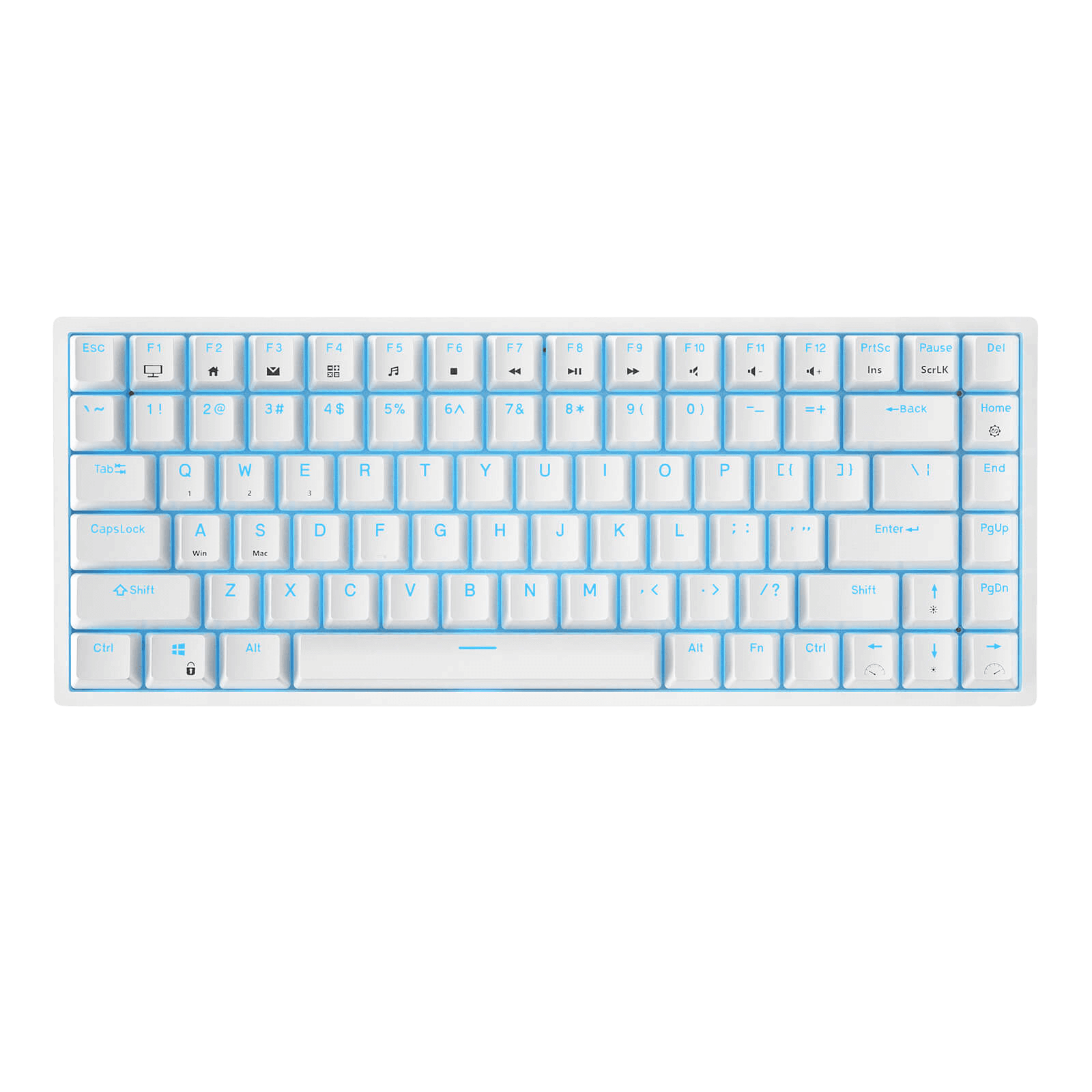 RK ROYAL KLUDGE RK84 Wireless Blue Backlit 75% Triple Mode BT5.0/2.4G/USB-C Hot Swappable Mechanical Keyboard, 84 Keys Tenkeyless Mechanical Keyboard w/Programmable Software, Blue Switch