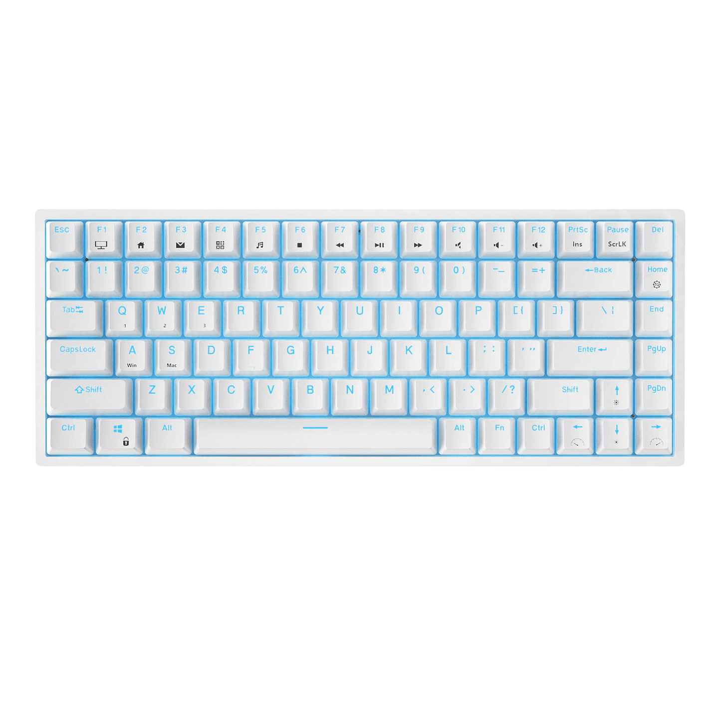 RK ROYAL KLUDGE RK84 Wireless Blue Backlit 75% Triple Mode BT5.0/2.4G/USB-C Hot Swappable Mechanical Keyboard, 84 Keys Tenkeyless Mechanical Keyboard w/Programmable Software, Blue Switch