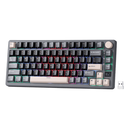 RK ROYAL KLUDGE M75 Wireless Mechanical Keyboard 2.4Ghz/BT5.1/USB-C Gaming Keyboard 75% Layout 81 Keys Gasket Mount with OLED Display & Knob RGB Backlight Hot-Swappable Viridian Switch