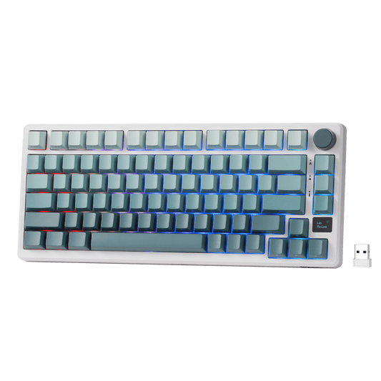 RK ROYAL KLUDGE M75 75% Wireless Mechanical Keyboard, 81 Keys Gasket-Mount, OLED Smart Display, Rotary Knob, Hot-Swappable Pre-Lubed Cloud Switches, Gradient PBT Keycaps, RGB Backlighting, Triple Mode Connectivity for Gaming & Office Use