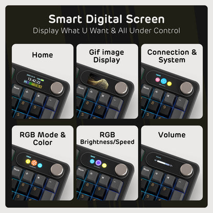 Close-up of RK S98 Black Mechanical Keyboard featuring Top Mount Design and Customizable Smart LCD Screen.