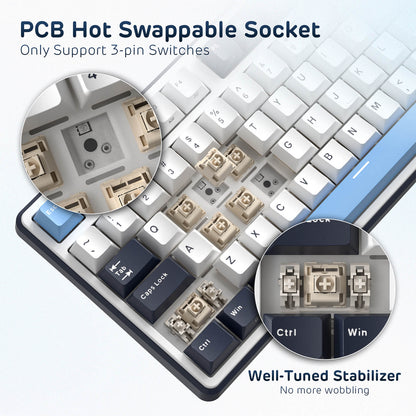 Mechanical keyboard with PCB hot swappable socket and stabilizer details on a light gray background.