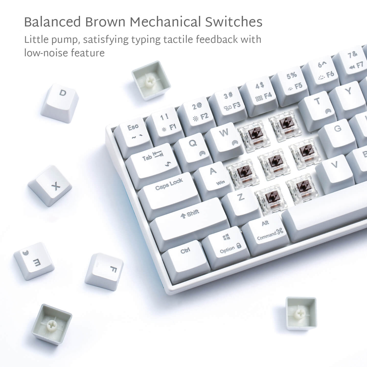 ROYAL KLUDGE RK71 71 Keys Wireless 70% RGB Mechanical Gaming